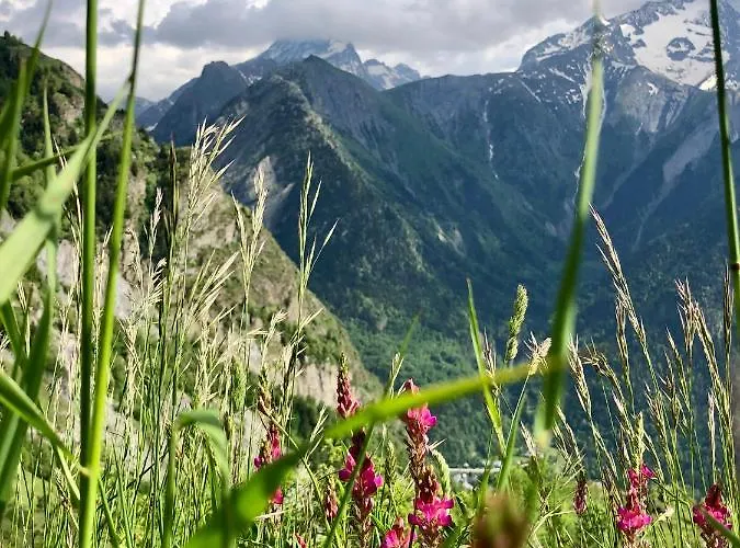 Апартаменты L'ansloboys Montagne H2 *