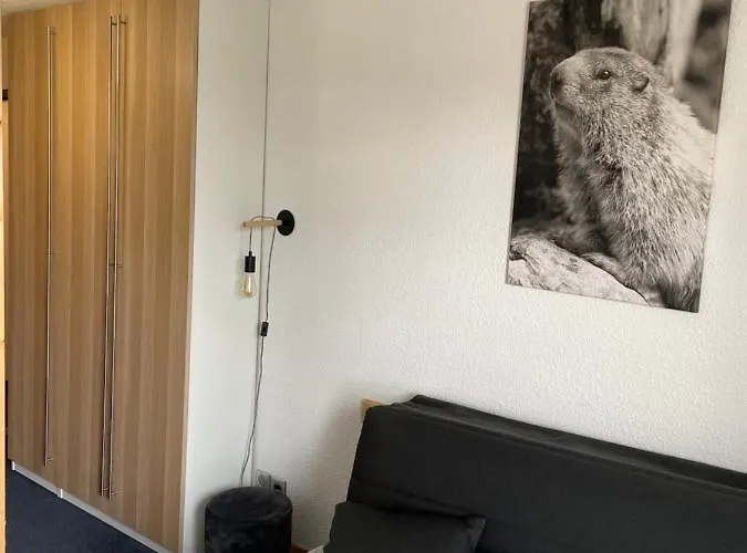 L'ansloboys Montagne H2 Апартаменты Ле дез Альп